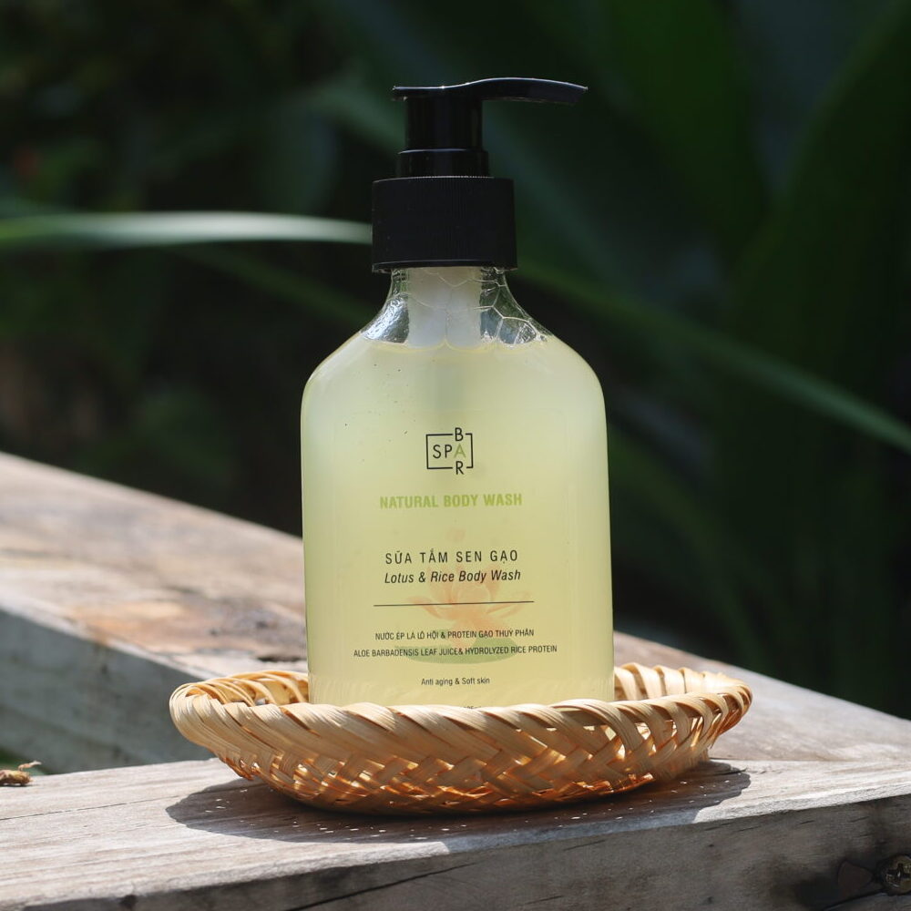 Sua tam Sen Gao scaled e1758091985362